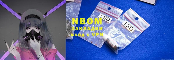 индика Алзамай