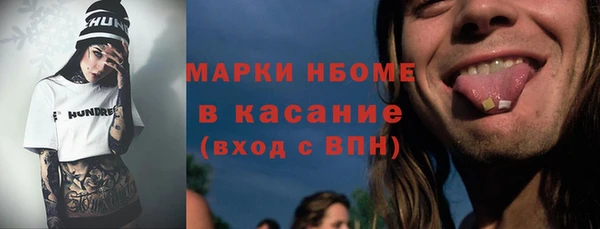 индика Алзамай