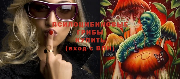 индика Алзамай