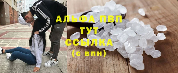 индика Алзамай