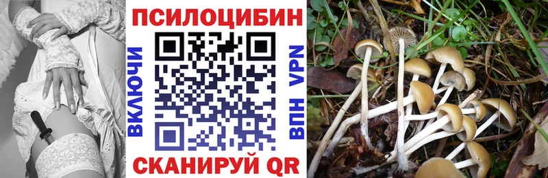 Галлюциногенные грибы Magic Shrooms Болгар